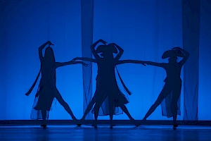 Les Ballets de Monte-Carlo